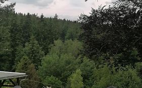 Ferienwohnung Waldblick mit Balkon